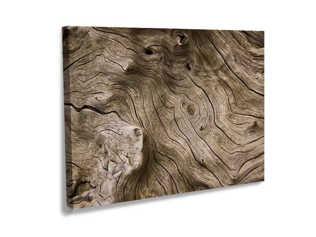 Kurkborden op canvas met verweerde boomstamstructuur – formaat 120 × 80 cm