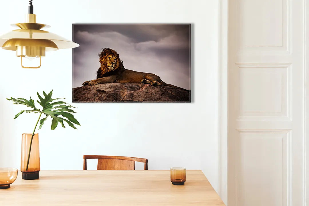 Kurkborden op canvas met majestueuze leeuw op een rots – formaat 100 × 70 cm