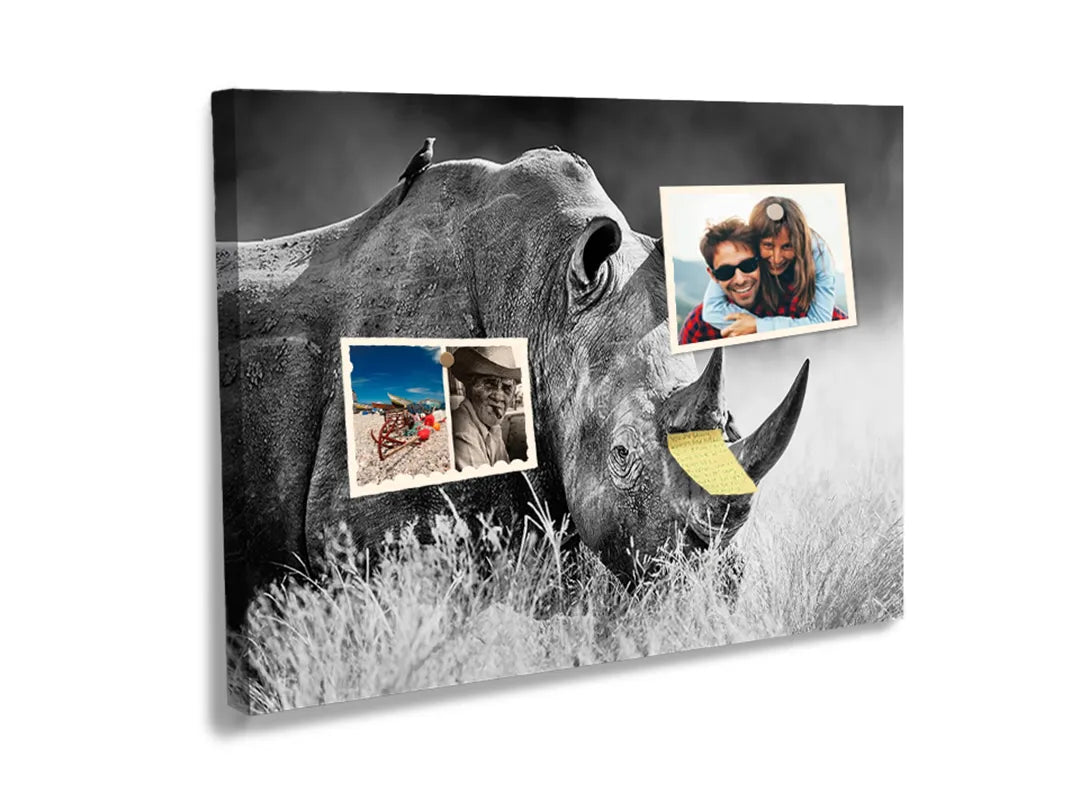 Kurkborden op canvas met zwart-wit neushoornportret – formaat 60 × 40 cm