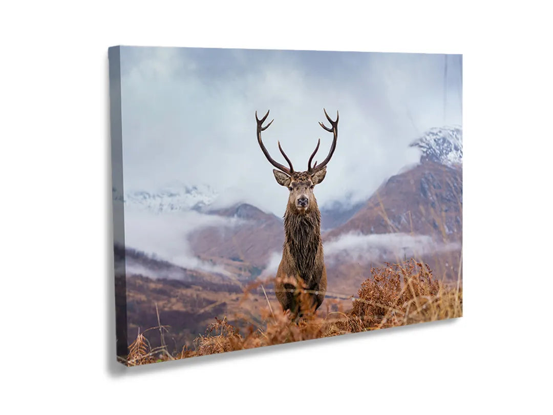Kurkborden op canvas met hert in een berglandschap – formaat 120 × 80 cm