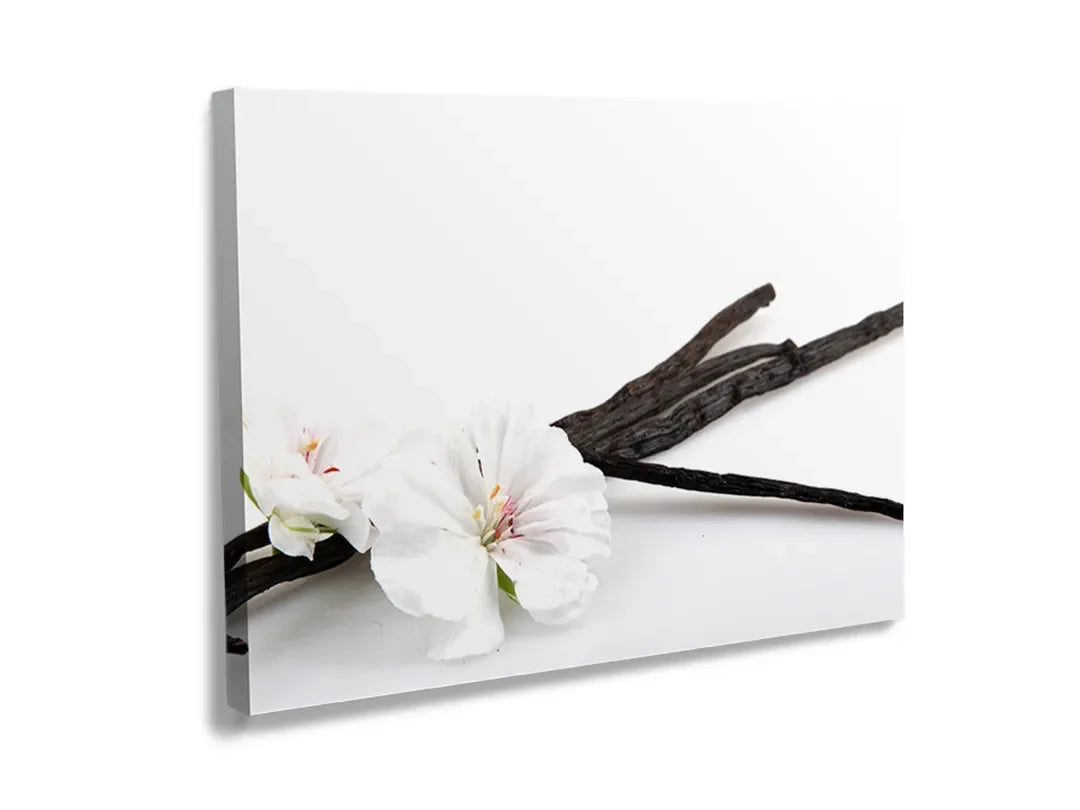 Kurkborden op canvas met vanillebloem met vanillestokjes – formaat 120 × 80 cm