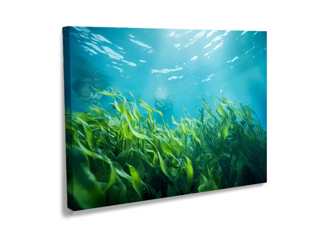 Kurkborden op canvas met onderwater gras in zonlicht – formaat 120 × 80 cm