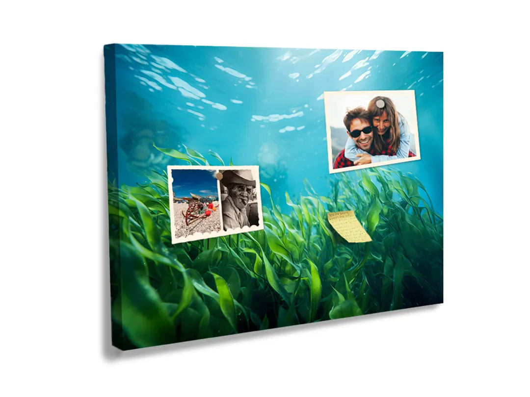 Kurkborden op canvas met onderwater gras in zonlicht – formaat 60 × 40 cm