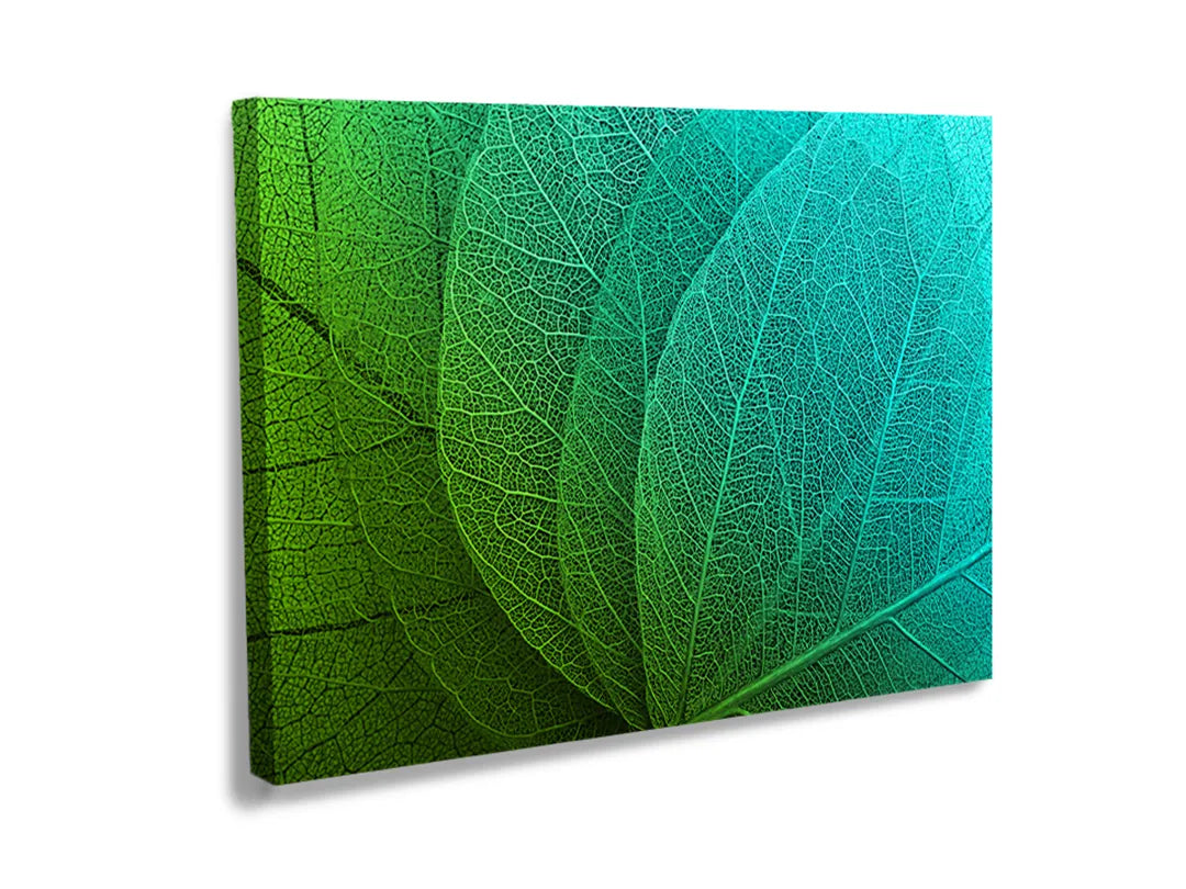 Kork-Pinnwände auf Leinwand mit grüne blätter in nahaufnahme – Format 120 × 80 cm