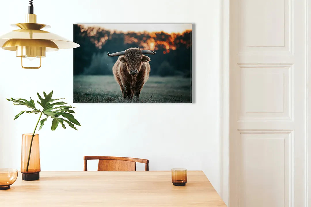 Kurkborden op canvas met schotse hooglander in avondlicht – formaat 100 × 70 cm