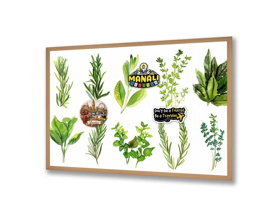 Metall Magnetboard mit hochwertigem Grüne Kräuter Set Illustration Design