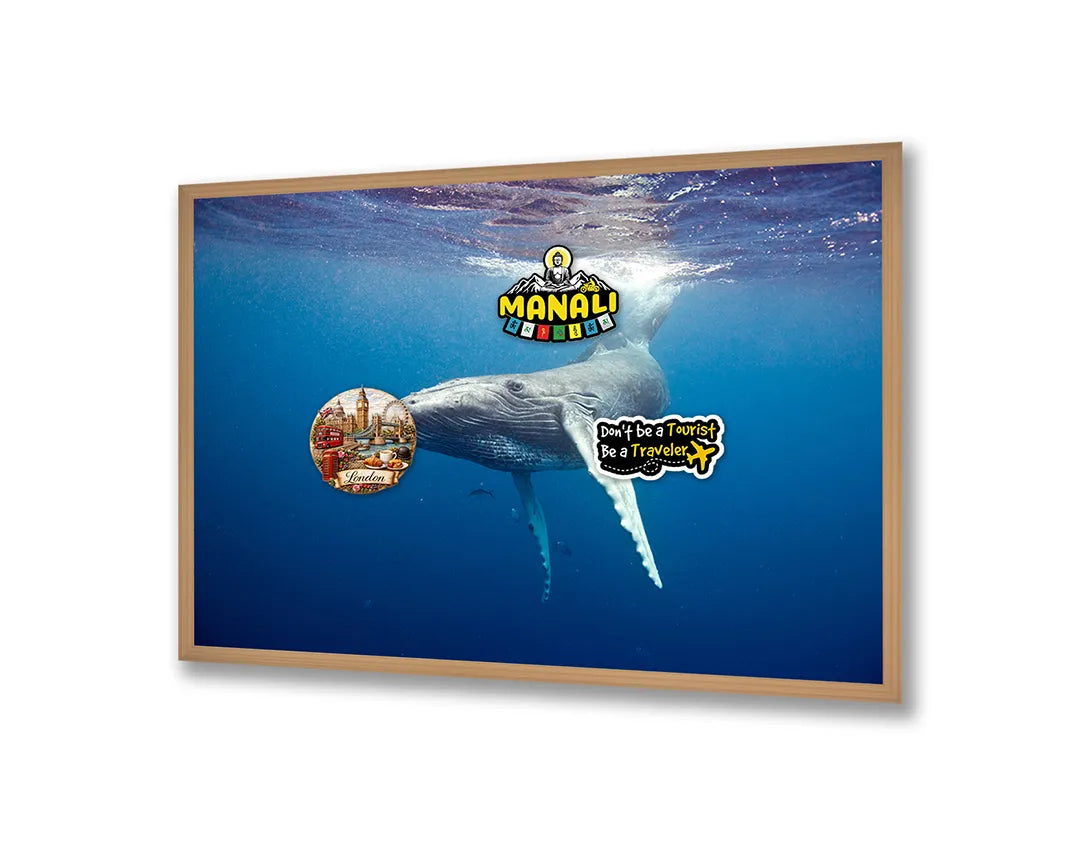 Metall Magnetboard mit hochwertigem Walvisstaart Onder Wasser Design