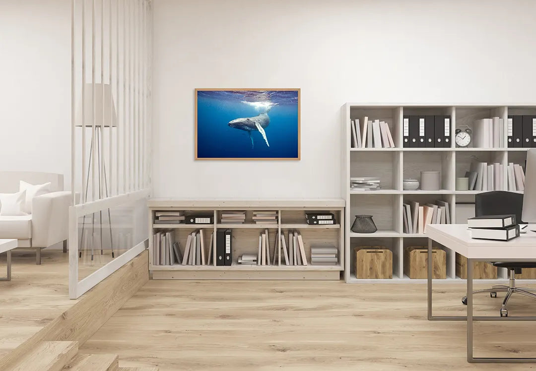 Metall Magnetboard mit hochwertigem Walvisstaart Onder Wasser Design