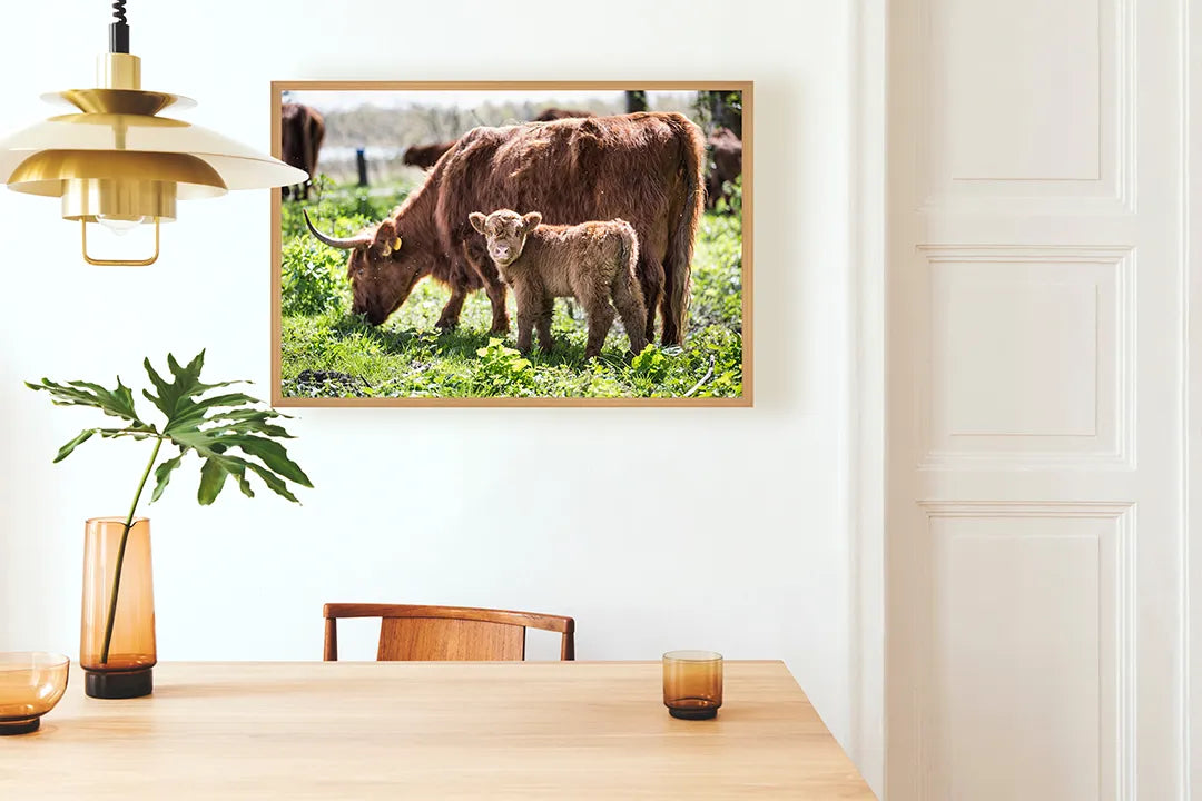 Metall Magnetboard mit hochwertigem Schotse Hooglanders in das Grün Design