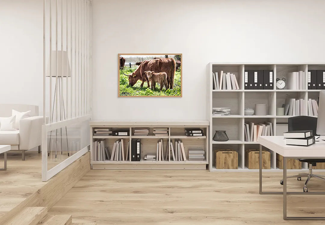 Metall Magnetboard mit hochwertigem Schotse Hooglanders in das Grün Design