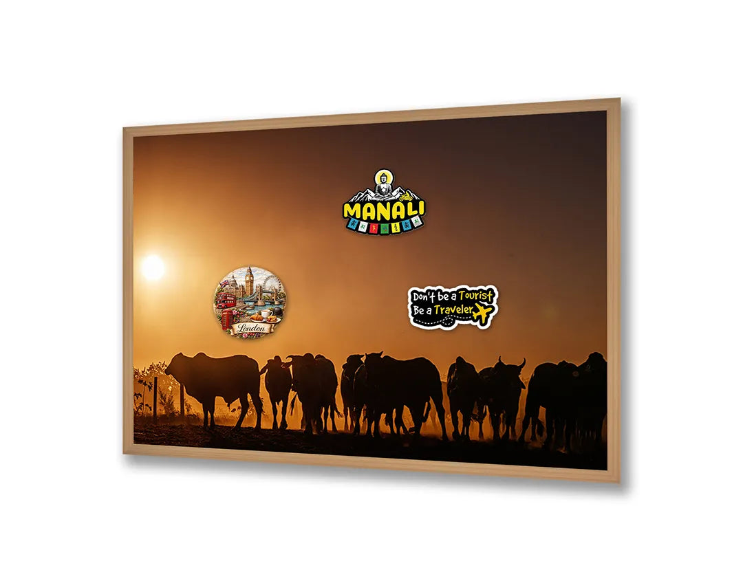 Metall Magnetboard mit hochwertigem Koeien Silhouette Sonnenuntergang Design