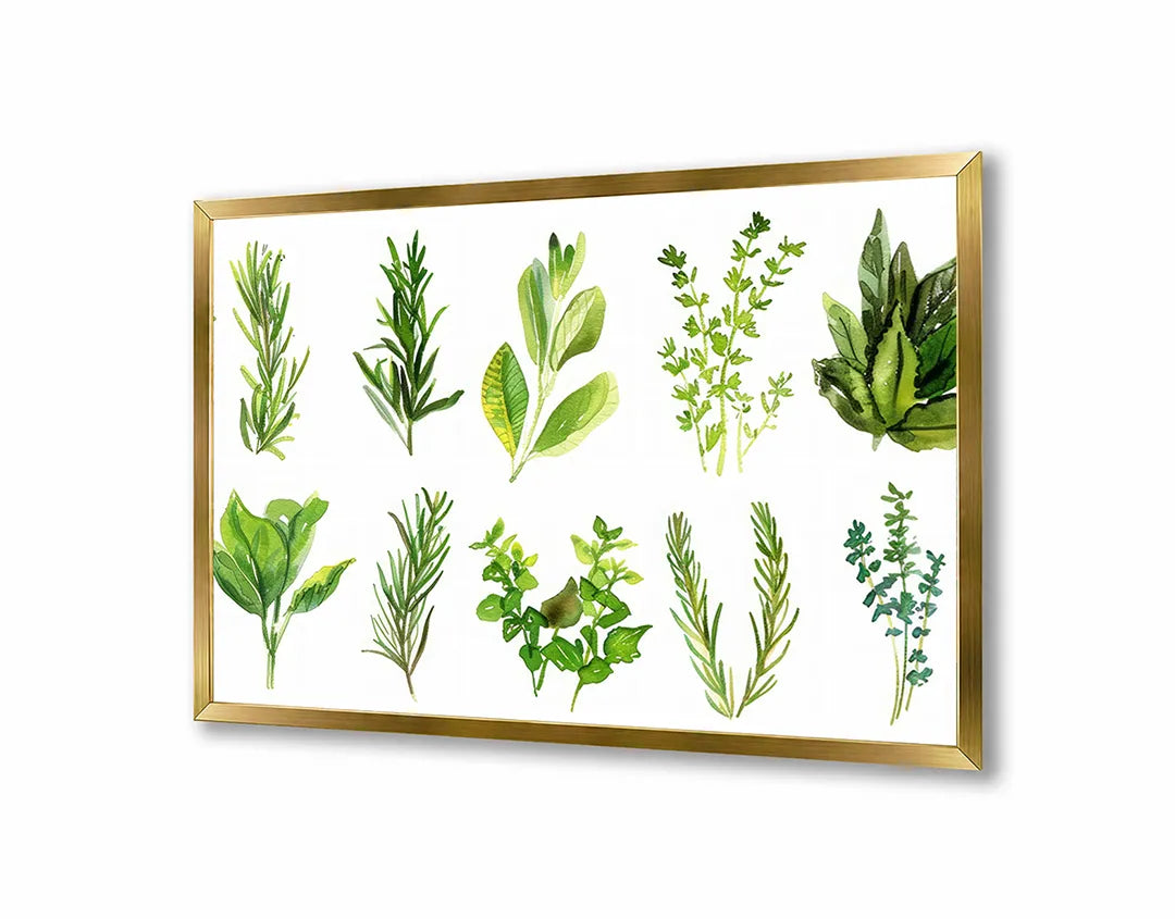 Metall Magnetboard mit hochwertigem Grüne Kräuter Set Illustration Design