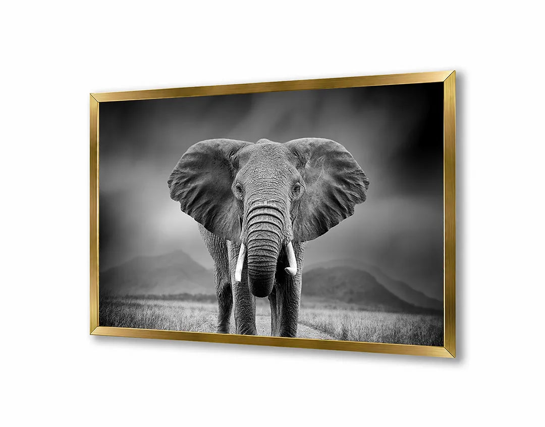 Metall Magnetboard mit hochwertigem Portret Von Ein Elefant Design