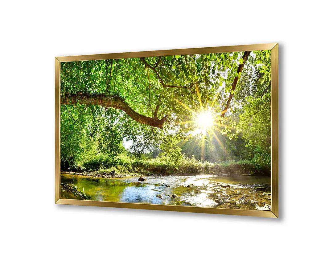 Metall Magnetboard mit hochwertigem Grün Wald Mit Sonnenstrahlen Design