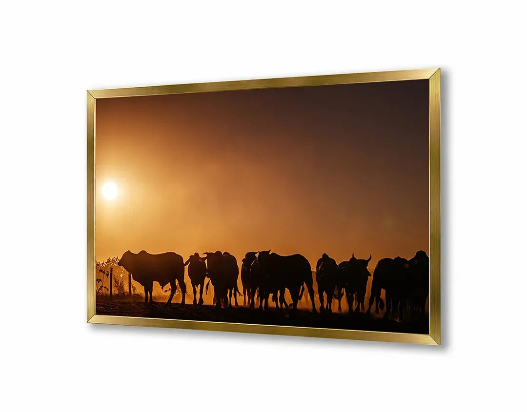 Metall Magnetboard mit hochwertigem Koeien Silhouette Sonnenuntergang Design