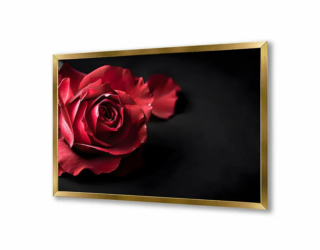 Metall Magnetboard mit hochwertigem Rote Rose auf schwarz Design