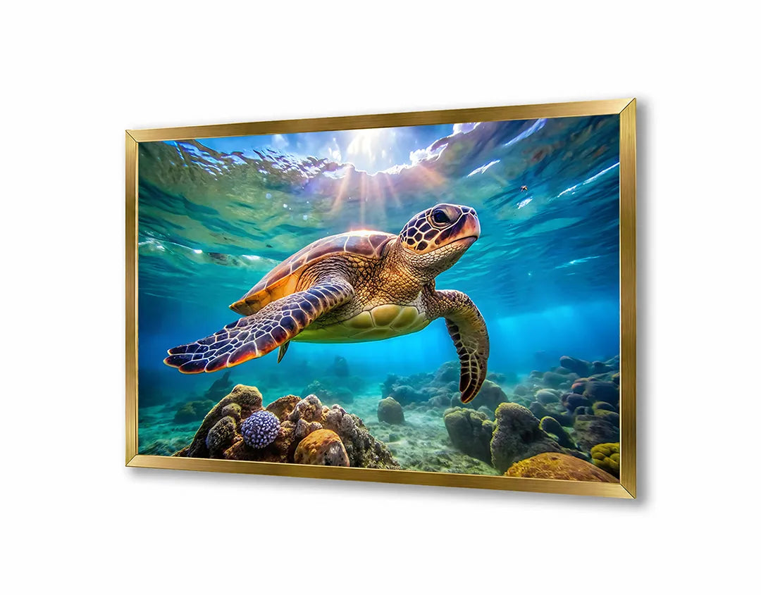 Metall Magnetboard mit hochwertigem Zeeschildpad Unterwasser Design