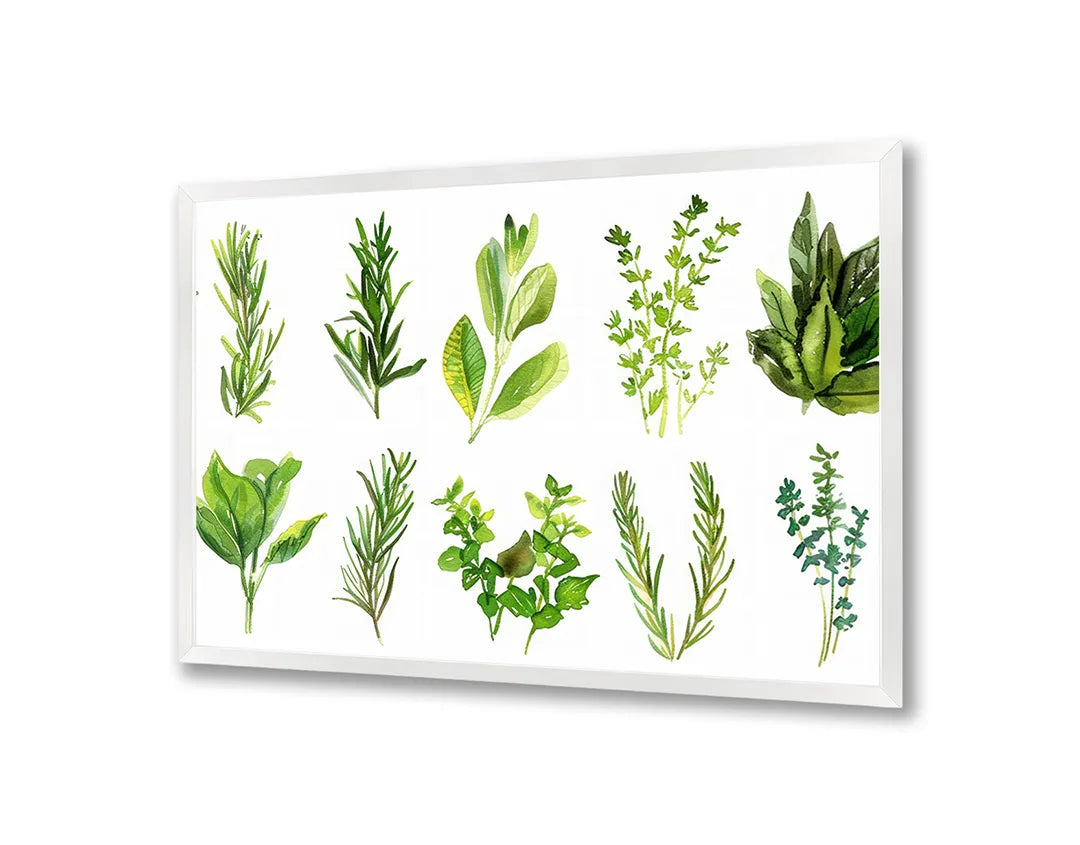 Metall Magnetboard mit hochwertigem Grüne Kräuter Set Illustration Design