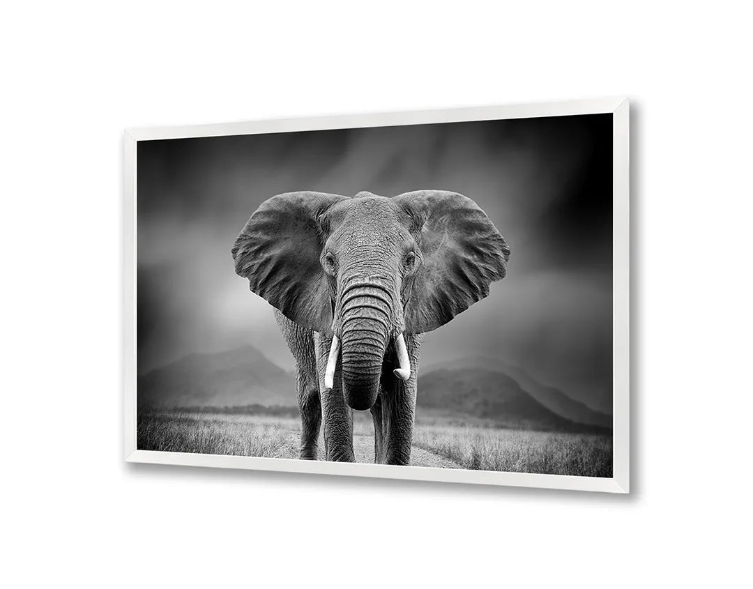 Metall Magnetboard mit hochwertigem Portret Von Ein Elefant Design
