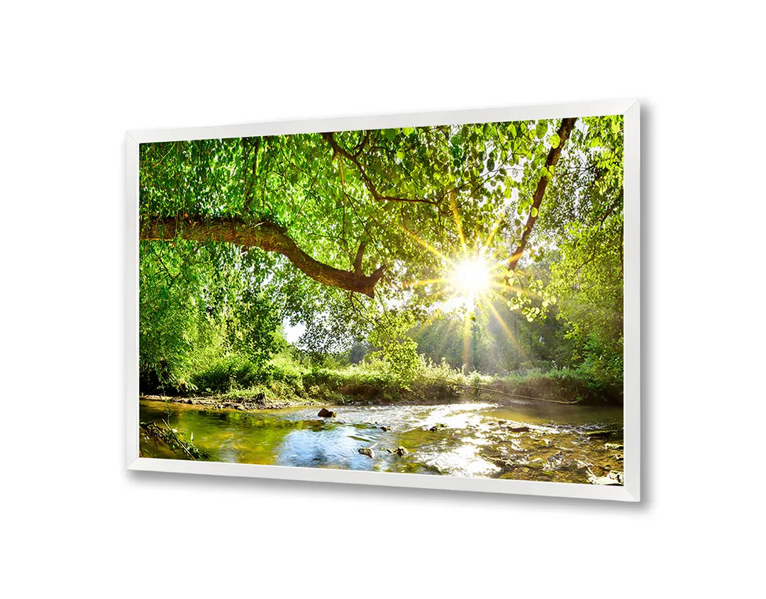 Metall Magnetboard mit hochwertigem Grün Wald Mit Sonnenstrahlen Design