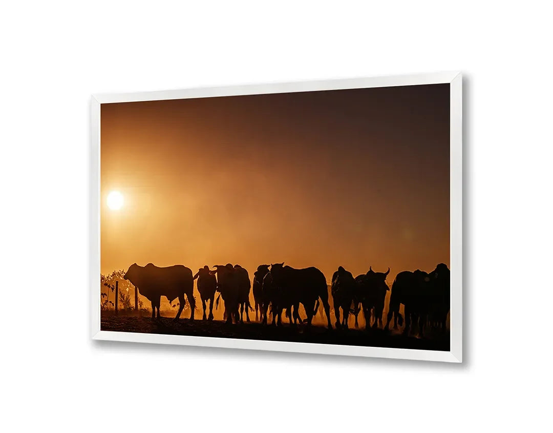 Metall Magnetboard mit hochwertigem Koeien Silhouette Sonnenuntergang Design