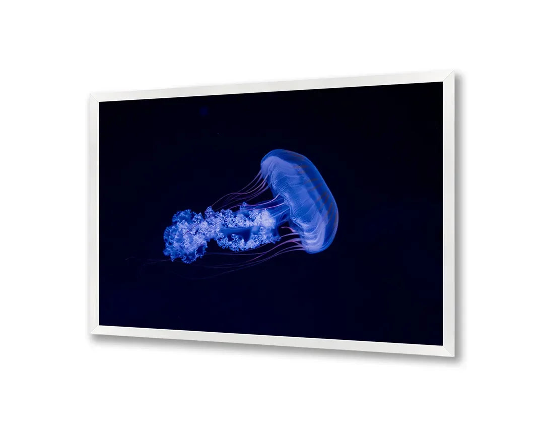 Metall Magnetboard mit hochwertigem Blaue kwal Unterwasser Design