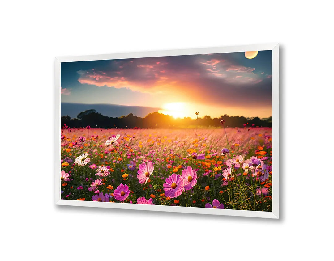 Metall Magnetboard mit hochwertigem Lavendelveld Sonnenuntergang Design