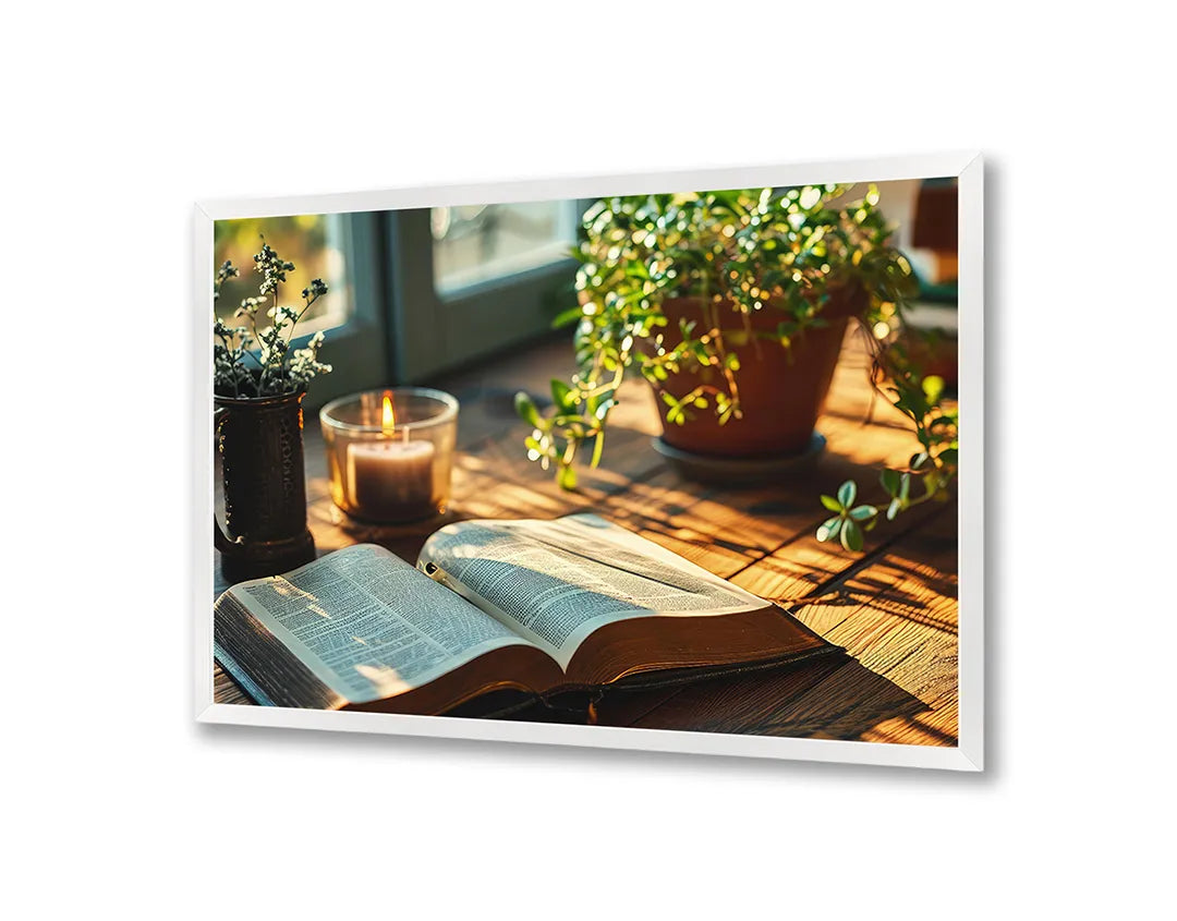 Metall Magnetboard mit hochwertigem Boek und plant auf tafel Design