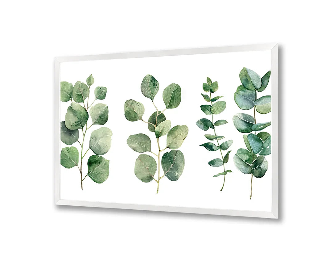 Metall Magnetboard mit hochwertigem Eucalyptus Blätter Aquarell Design