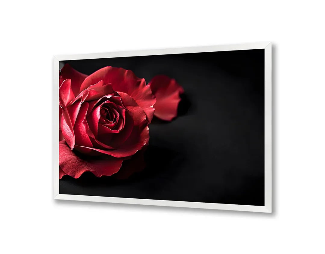 Metall Magnetboard mit hochwertigem Rote Rose auf schwarz Design