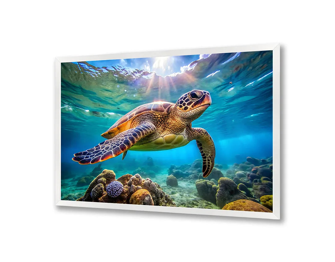Metall Magnetboard mit hochwertigem Zeeschildpad Unterwasser Design