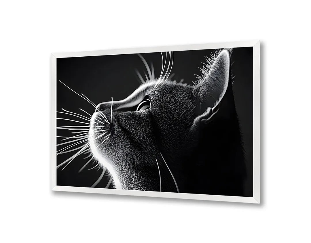Metall Magnetboard mit hochwertigem Schwarz weiß Katze Profil Design