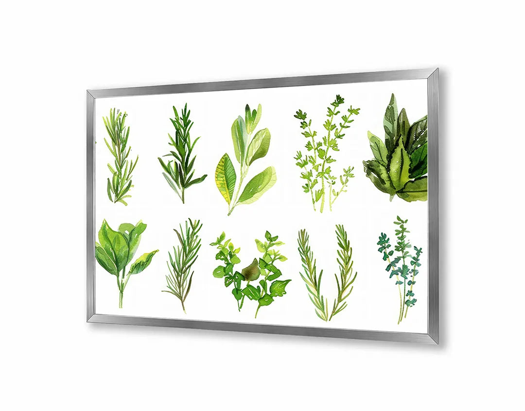 Metall Magnetboard mit hochwertigem Grüne Kräuter Set Illustration Design