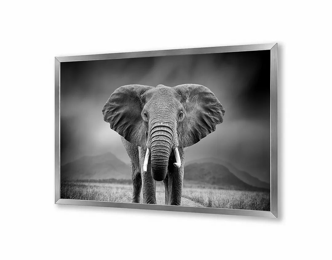 Metall Magnetboard mit hochwertigem Portret Von Ein Elefant Design