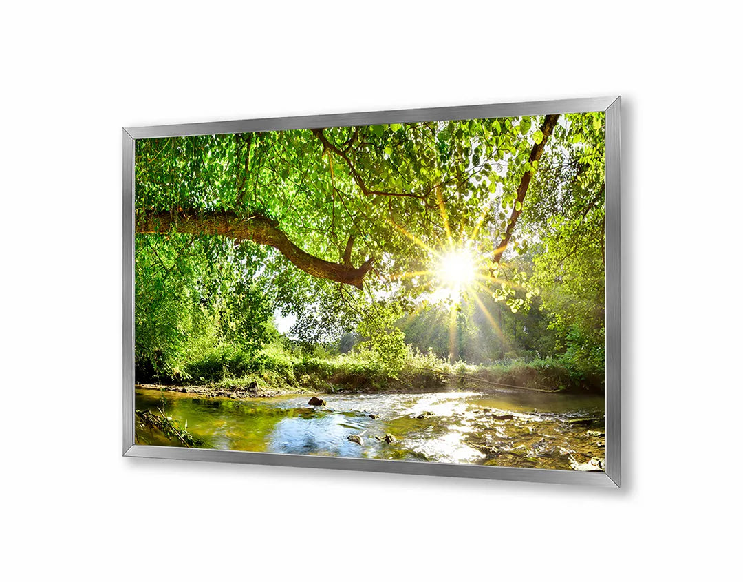 Metall Magnetboard mit hochwertigem Grün Wald Mit Sonnenstrahlen Design