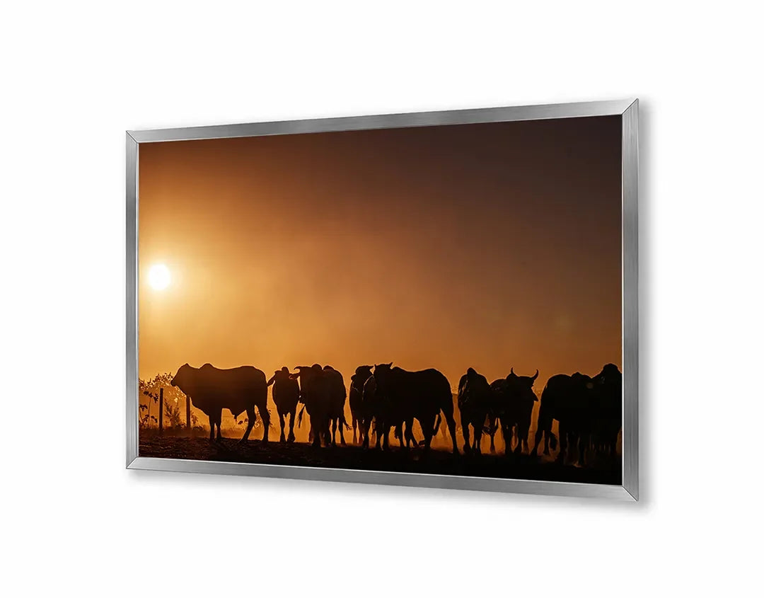 Metall Magnetboard mit hochwertigem Koeien Silhouette Sonnenuntergang Design