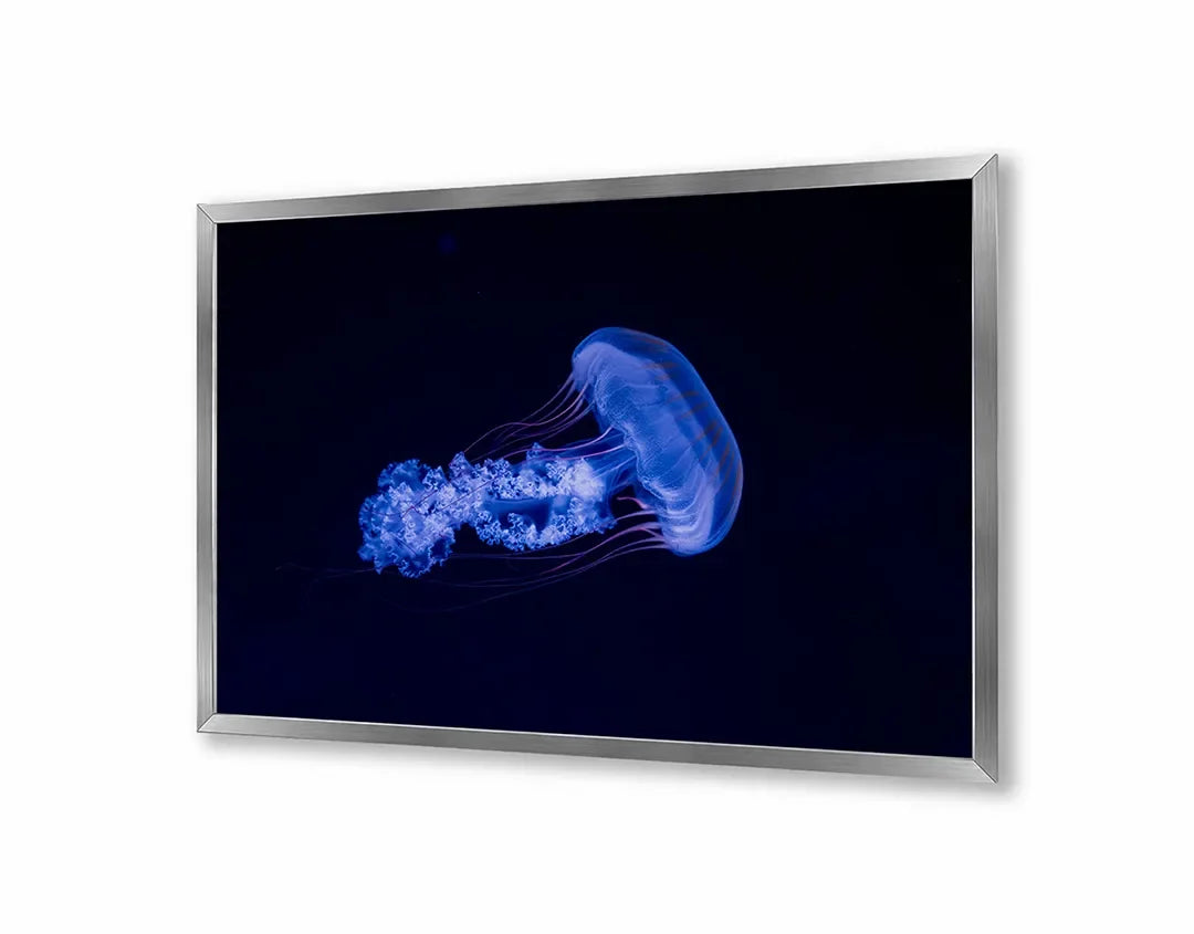 Metall Magnetboard mit hochwertigem Blaue kwal Unterwasser Design