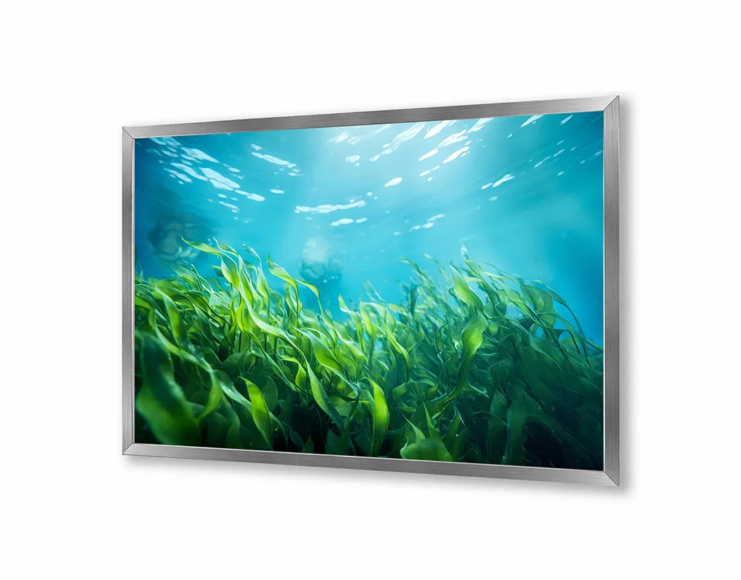 Metall Magnetboard mit hochwertigem Grüne Blätter Unterwasser Design