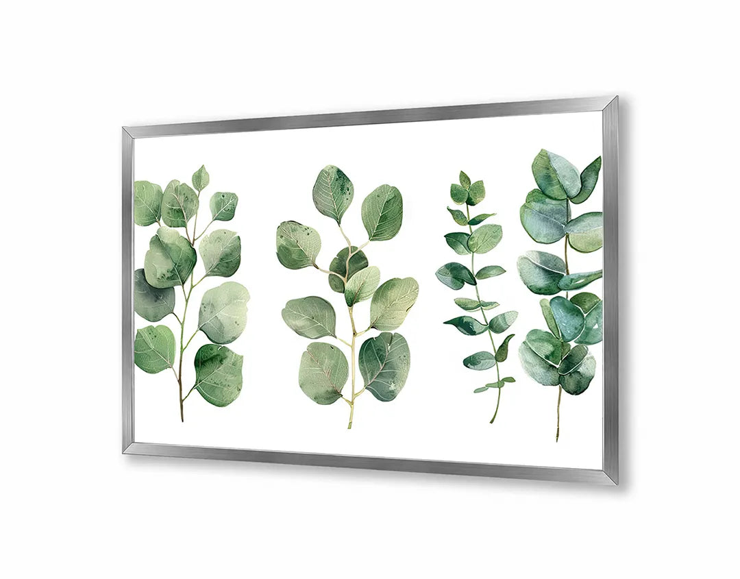 Metall Magnetboard mit hochwertigem Eucalyptus Blätter Aquarell Design