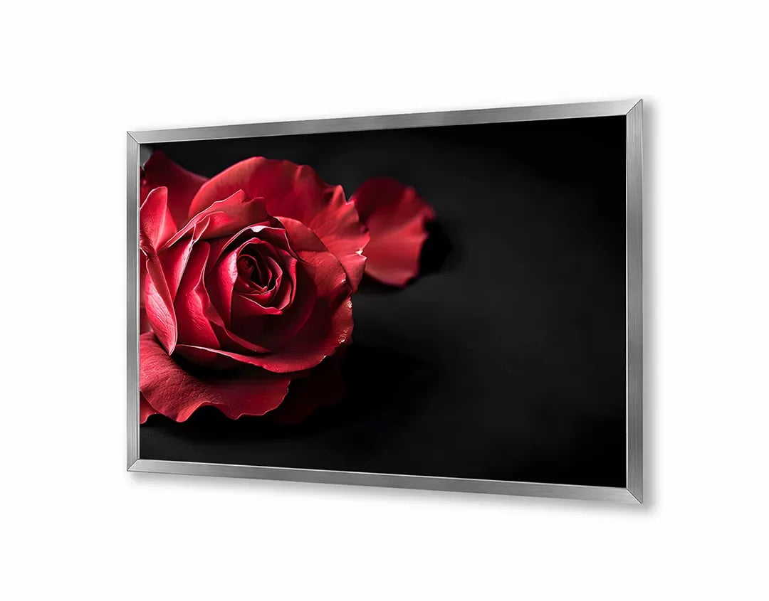 Metall Magnetboard mit hochwertigem Rote Rose auf schwarz Design