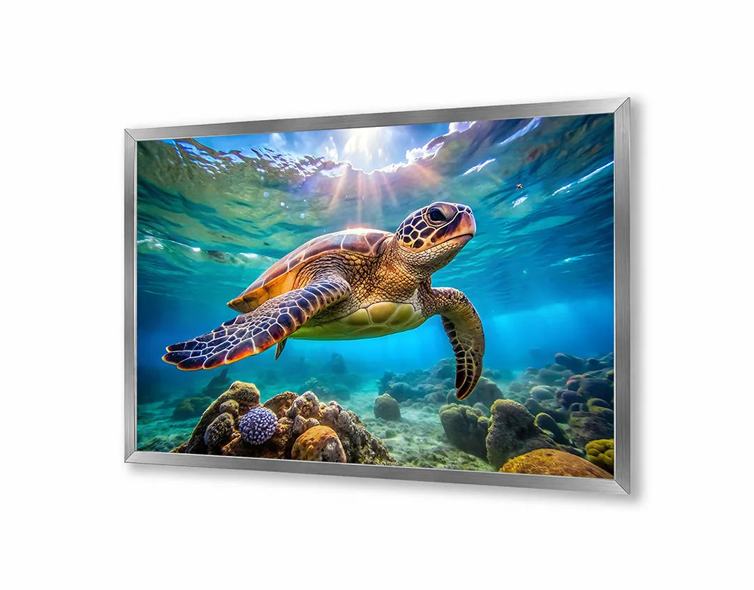 Metall Magnetboard mit hochwertigem Zeeschildpad Unterwasser Design