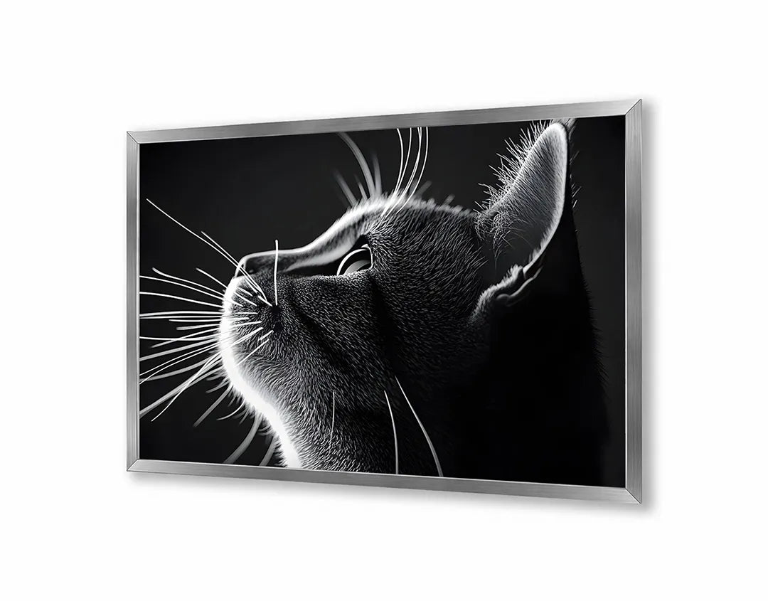 Metall Magnetboard mit hochwertigem Schwarz weiß Katze Profil Design