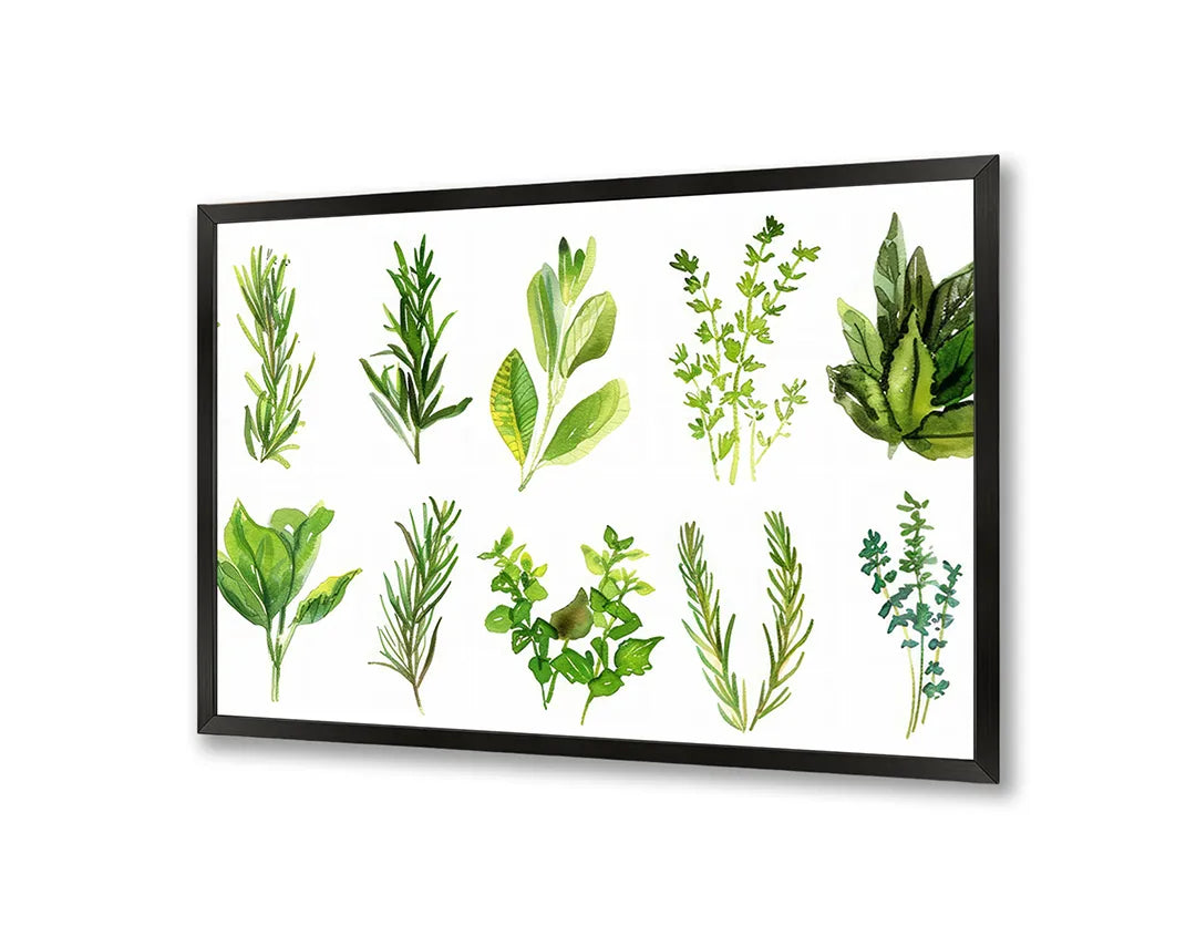 Metall Magnetboard mit hochwertigem Grüne Kräuter Set Illustration Design