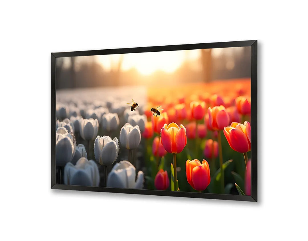 Metall Magnetboard mit hochwertigem Tulpenfeld weiß rot Sonnenuntergang Design
