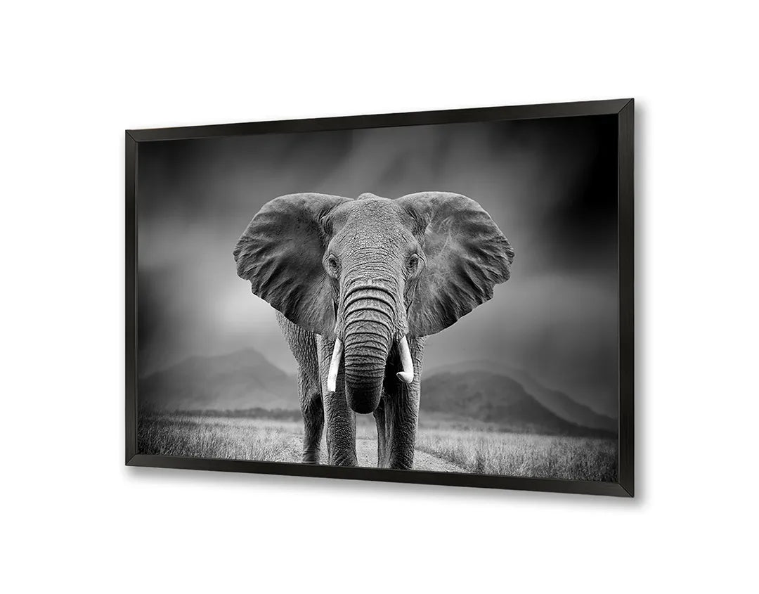 Metall Magnetboard mit hochwertigem Portret Von Ein Elefant Design