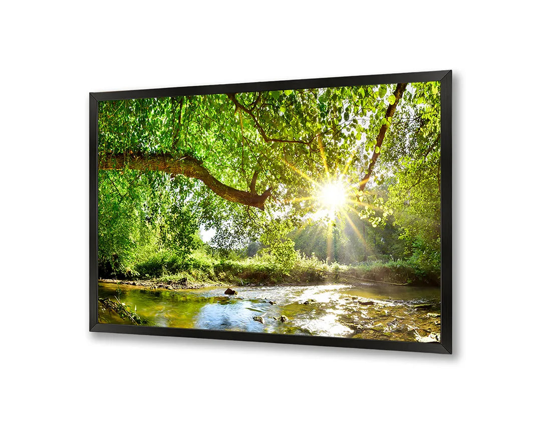 Metall Magnetboard mit hochwertigem Grün Wald Mit Sonnenstrahlen Design
