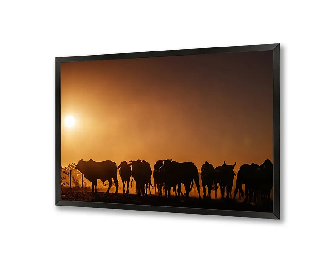 Metall Magnetboard mit hochwertigem Koeien Silhouette Sonnenuntergang Design
