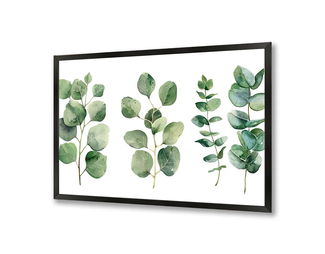 Metall Magnetboard mit hochwertigem Eucalyptus Blätter Aquarell Design