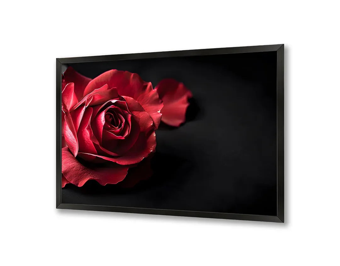 Metall Magnetboard mit hochwertigem Rote Rose auf schwarz Design