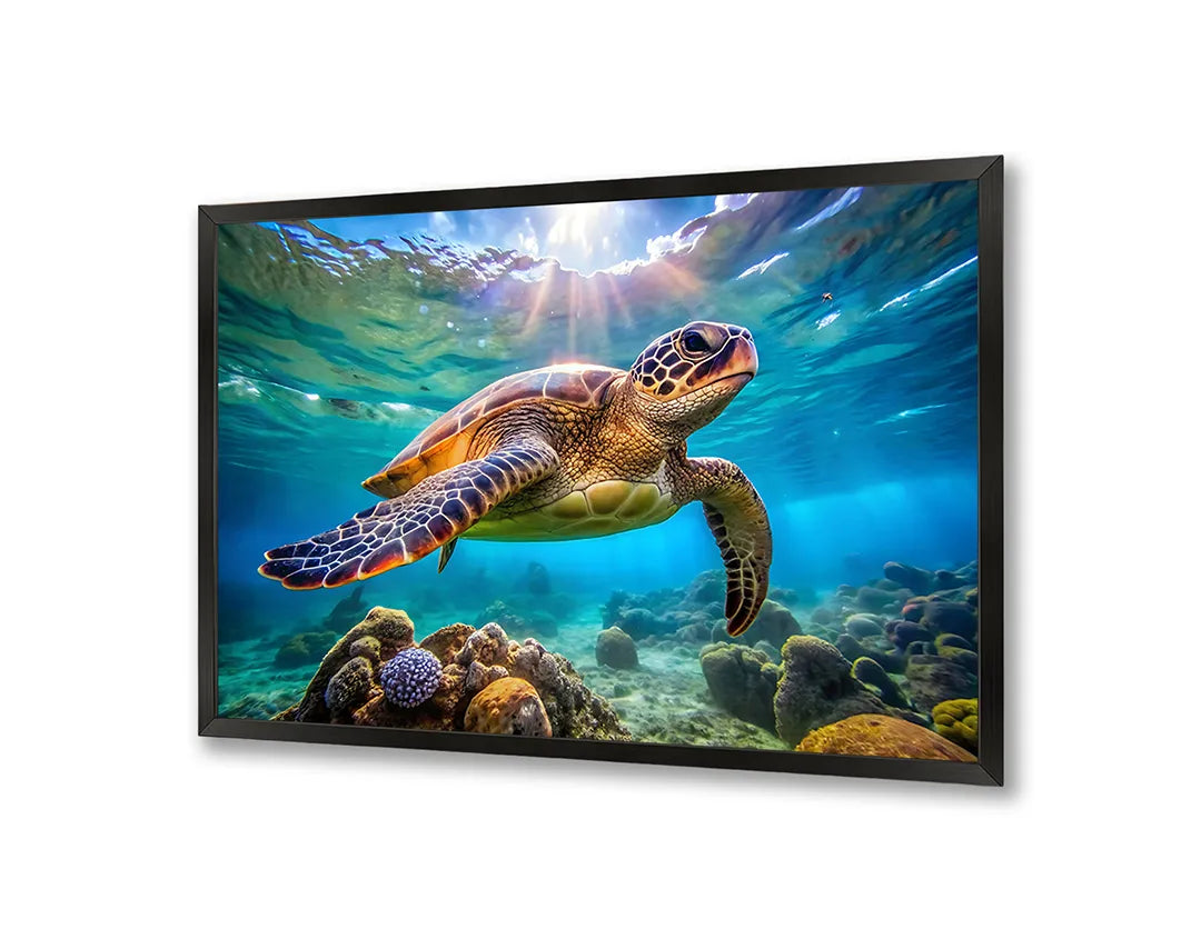 Metall Magnetboard mit hochwertigem Zeeschildpad Unterwasser Design